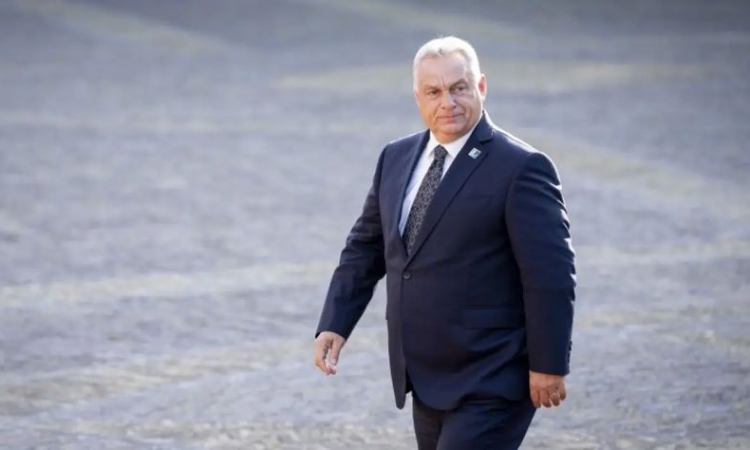 The Telegraph: Срещата на Тръмп и Путин в Будапеща ще бъде болезнен удар за ЕС
