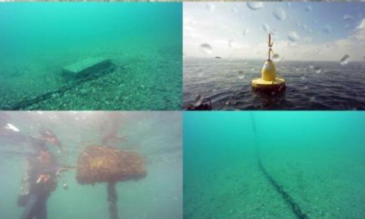 Финансирана от ЕС ферма за миди у нас се оказа само пясък