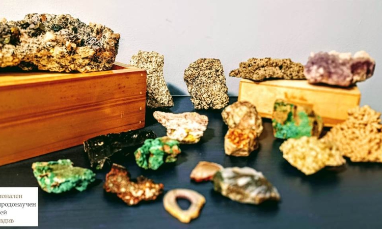 Безплатна демонстрация на минерали под микроскоп очакват малчуганите в Природонаучния музей