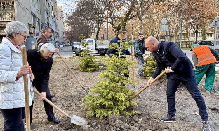 Градът става по-зелен: Община Пловдив засади 1000 дръвчета на ключови локации