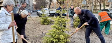 Градът става по-зелен: Община Пловдив засади 1000 дръвчета на ключови локации