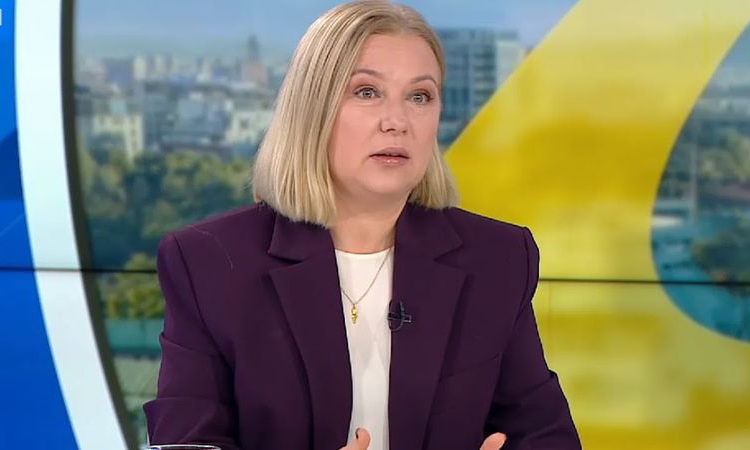 Надежда Йорданова: Властта отдавна е постигнала консенсус за сканиращите машини