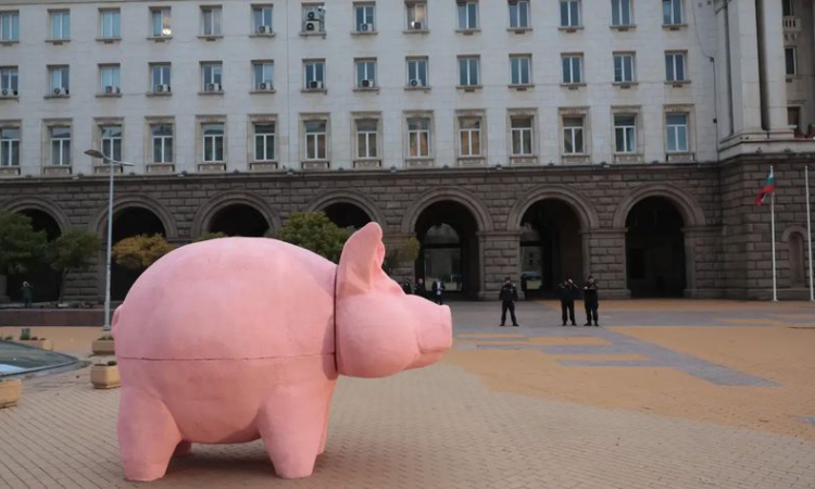 Прасето от протестите тръгва на турне из страната