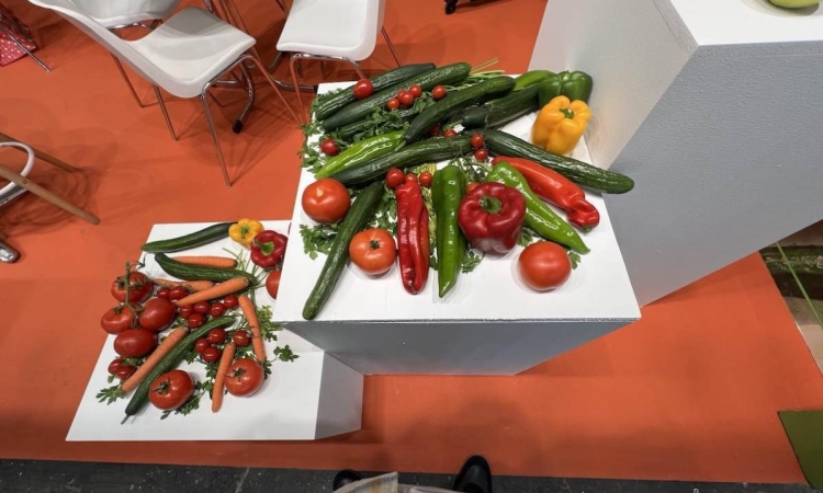 Изключителен успех за българските производители на оранжерийна продукция на FRUIT ATTRACTION 2024 в Мадрид