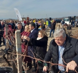 На Трифон Зарезан в Брестовица: Двама министри и кметът на община „Родопи“ зарязаха лозите за берекет