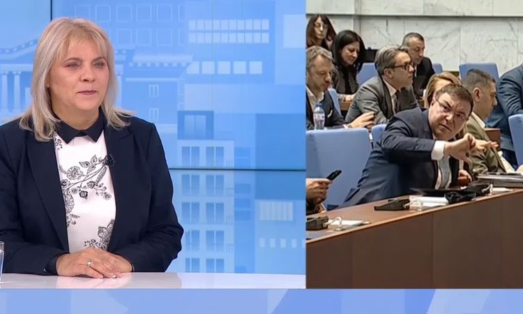 Мая Димитрова, БСП: Никой не ни казва как да гласуваме