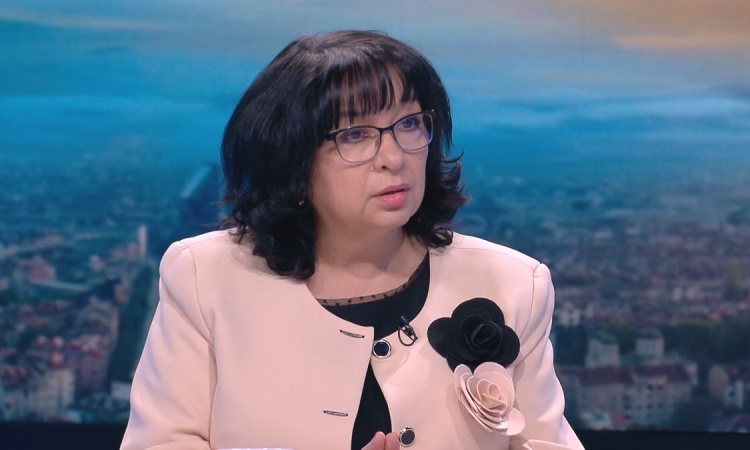 Теменжука Петкова: На слаб президент еврото му е виновно