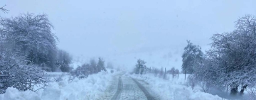 Сняг и дъжд