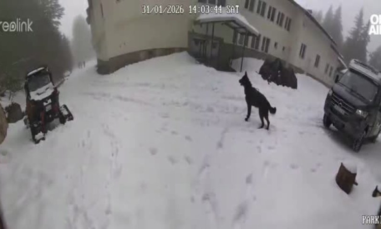 Къде е Ники Златков? Той не се качва в кемпера на Калушев на Петрохан