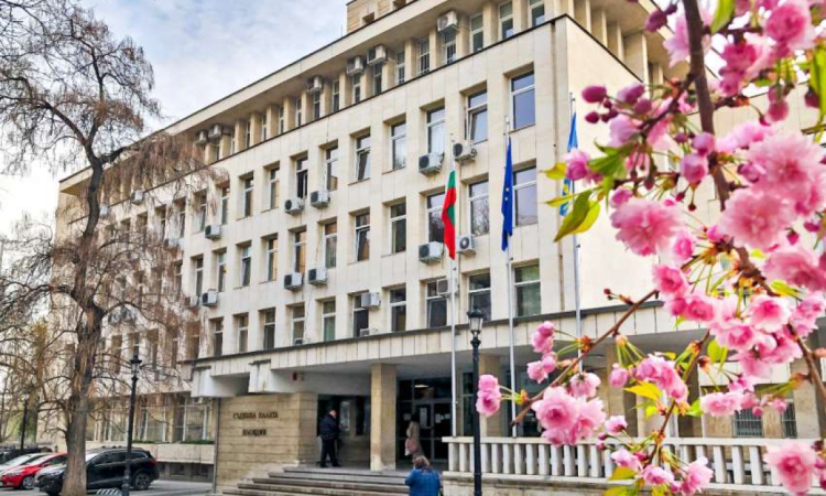 Съдът в Пловдив за втори път отстрани адвоката на малтретирания Адриан