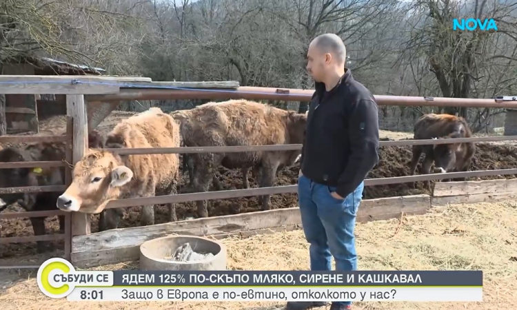 Фермерите продават евтино, а ние купуваме най-скъпото мляко в Европа