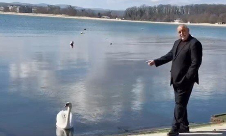 На обиколка в България: Борисов се срещна с лебед в Приморско