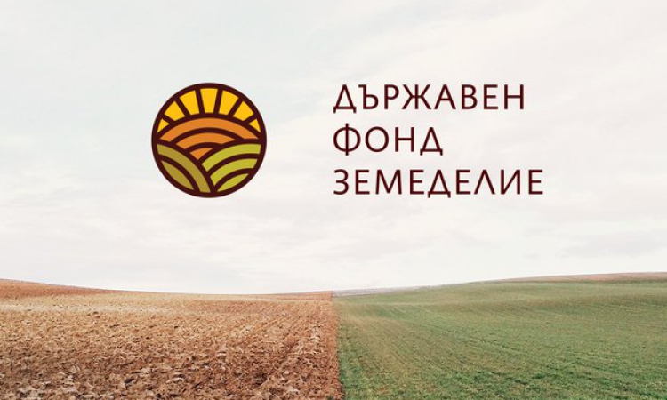 Земеделци получиха над 12.6 млн. евро за щети