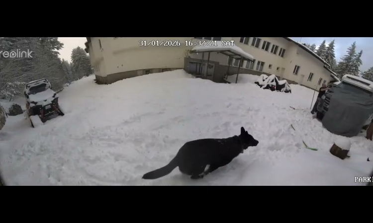 Антон Станков заподозря и седми човек, замесен на "Петрохан"