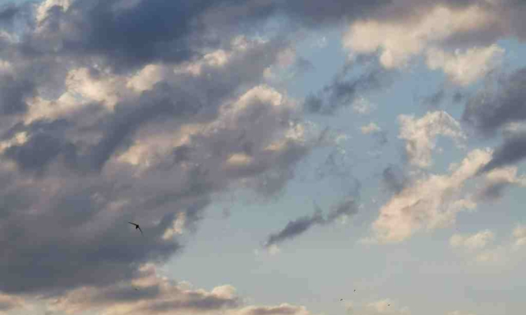 Облачна събота