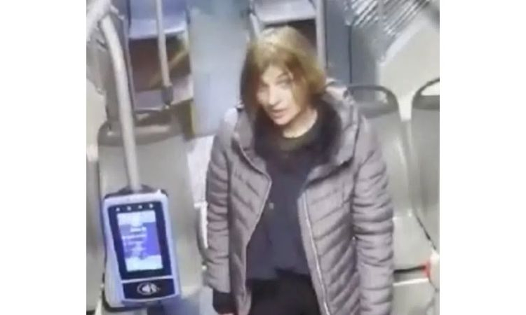 Съдът остави в ареста 39-годишната жена, наръгала с нож четирима души в София