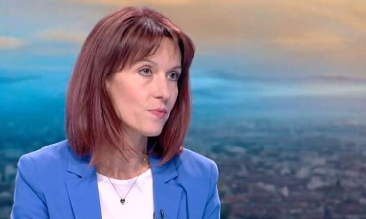 Камелия Нейкова, ЦИК: При проверки сме откривали, че действителни бюлетини са били отчитани като недействителни