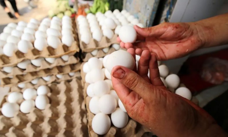 Яйцето от 60 стотинки скочи на 60 евроцента