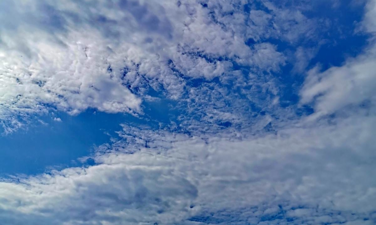 Ветровит петък