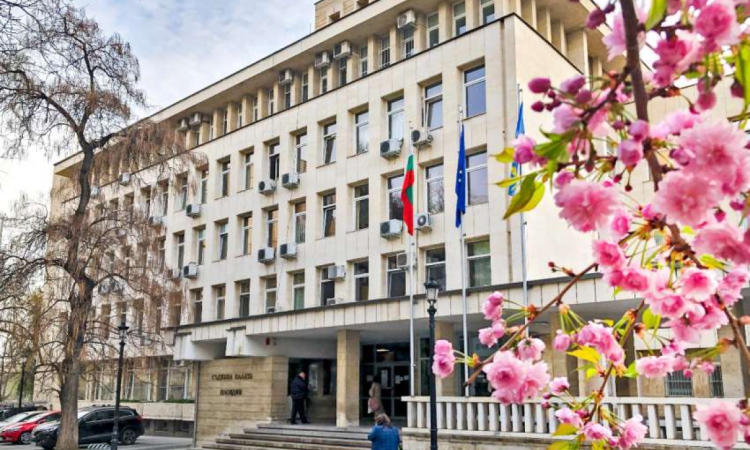 Мъж отвлече жена и едногодишно дете от кризисен център в Пловдив